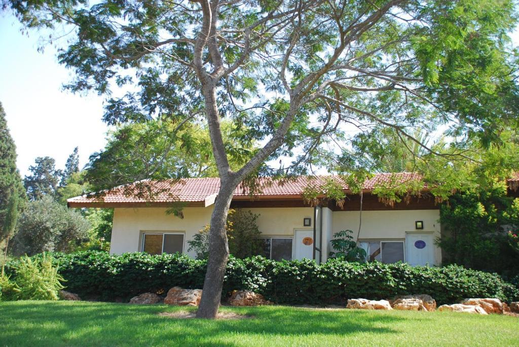 Holiday Village Kibbutz Mizra Habitación foto